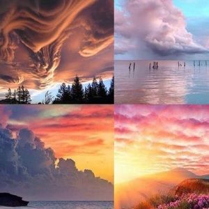 Meet your Posher, Dani